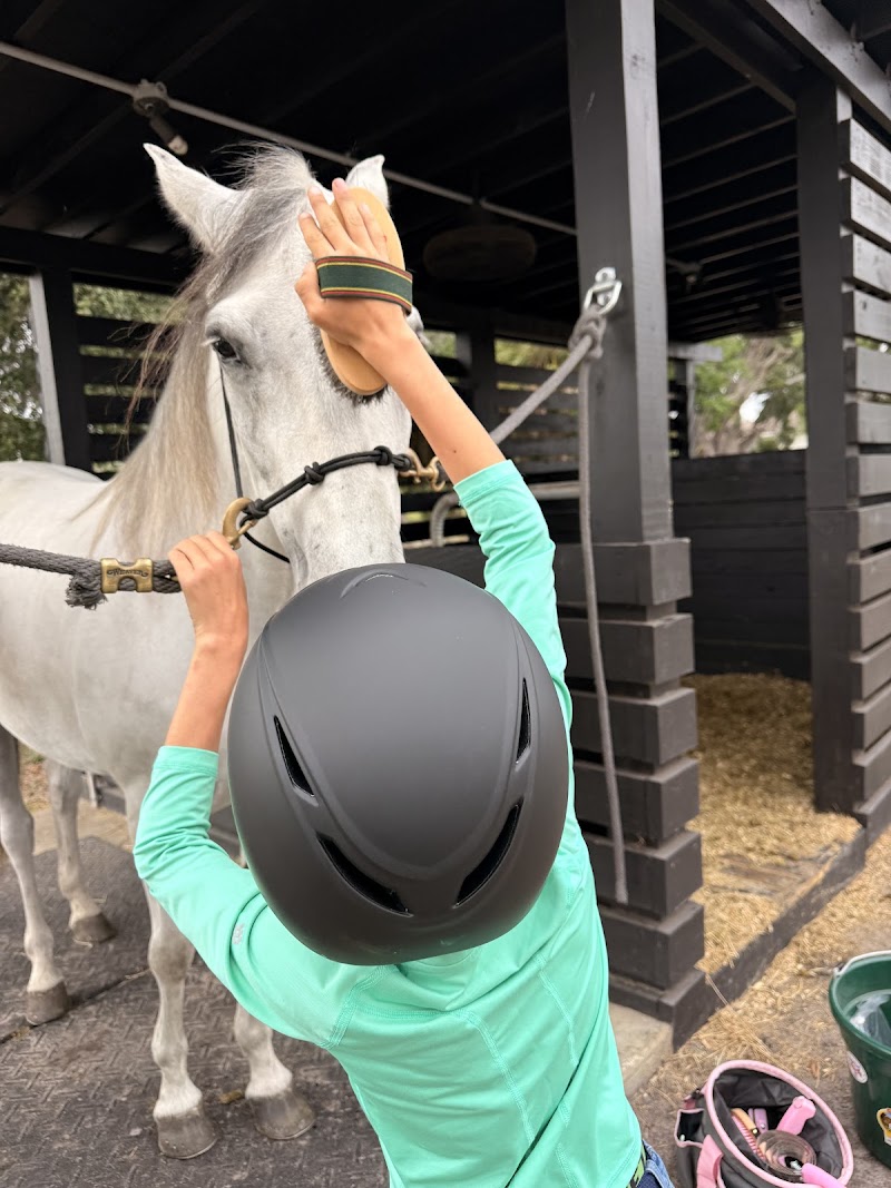 Photo of Thriving Equine-Assisted Wellness