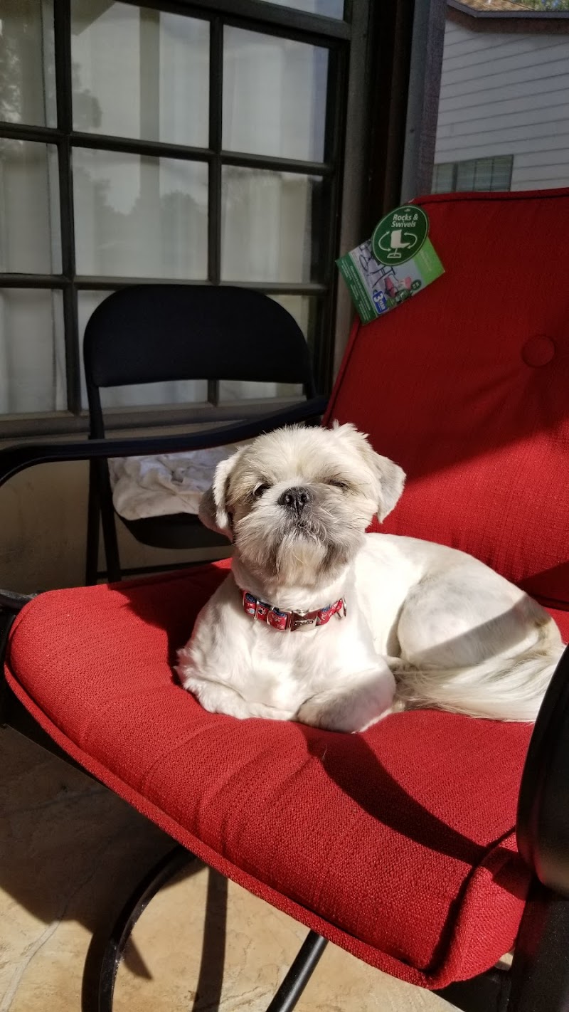 Country Critters Pet Salon photo 2