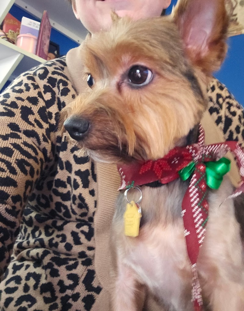 Country Critters Pet Salon photo 4