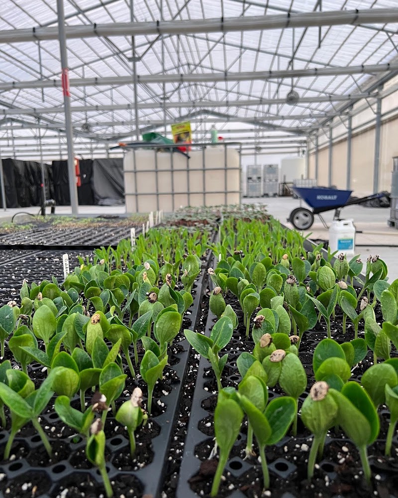 Photo of Good Flavor Farm