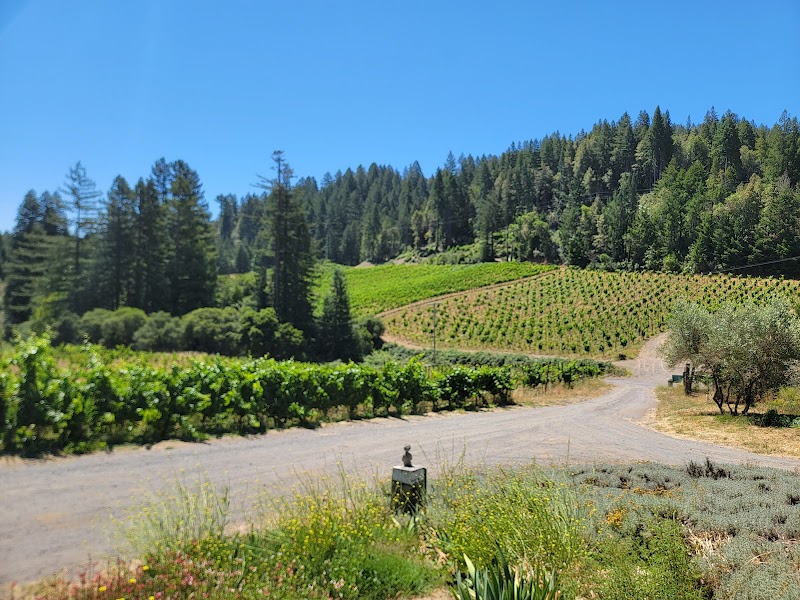 Porter-Bass Winery photo 2