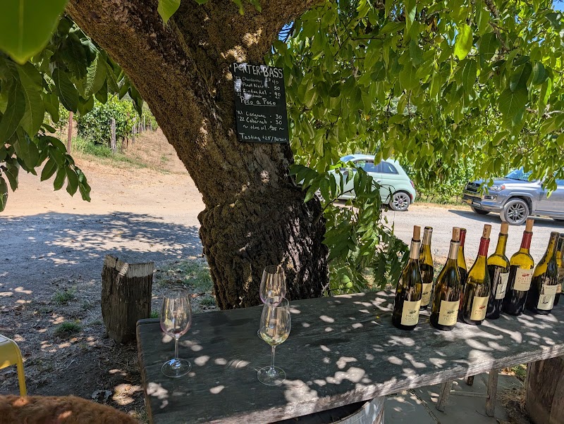 Porter-Bass Winery photo 3
