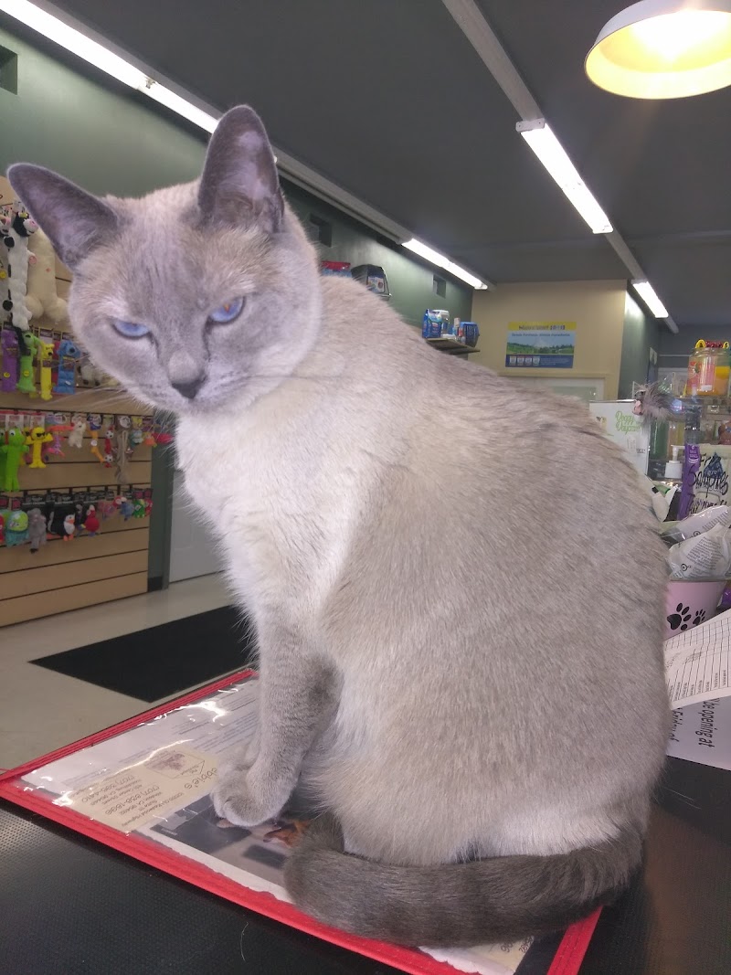 Debbie's Pet Boutique photo 4