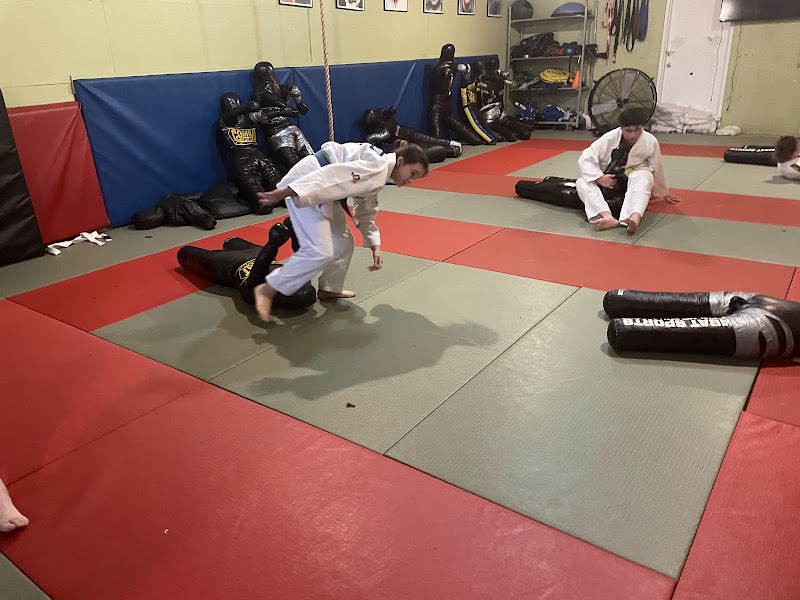 Tampa Florida Judo and Mixed Martial Arts photo 2