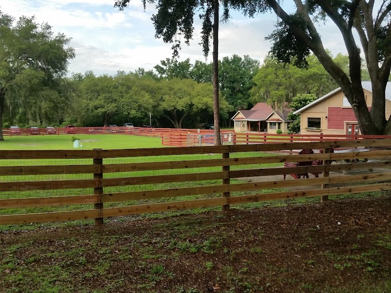 Village Pet Spa photo 2