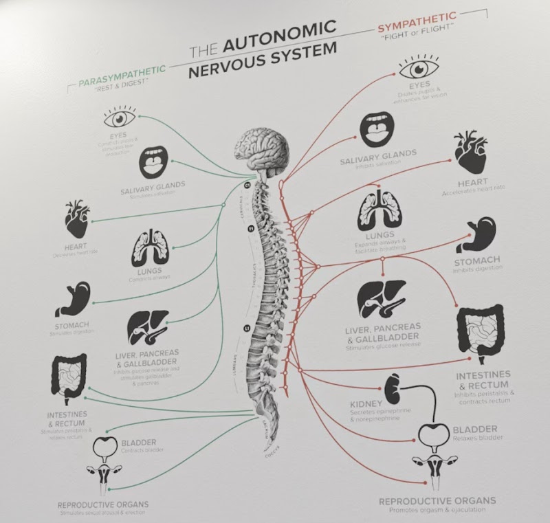 Spinal Flow Wellness Center photo 5