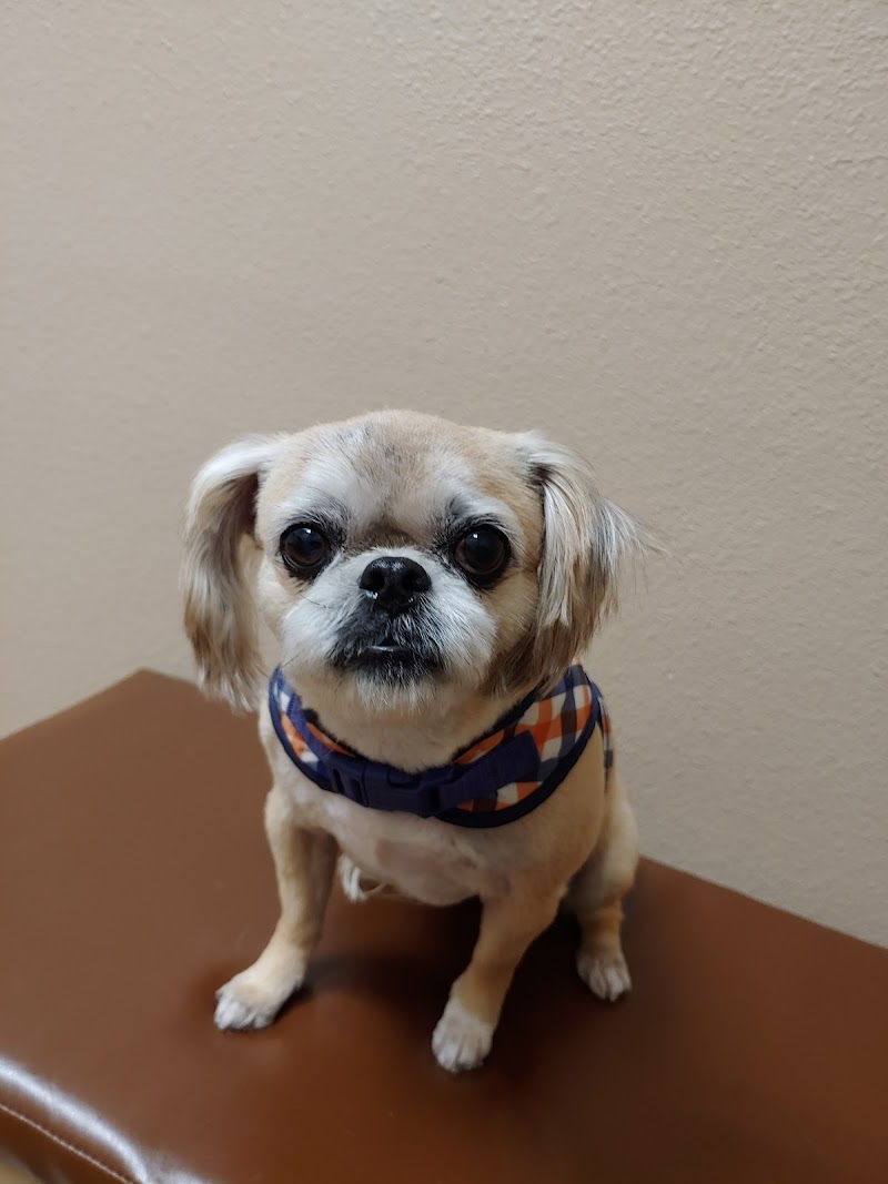 Acupet Veterinary Care photo 3