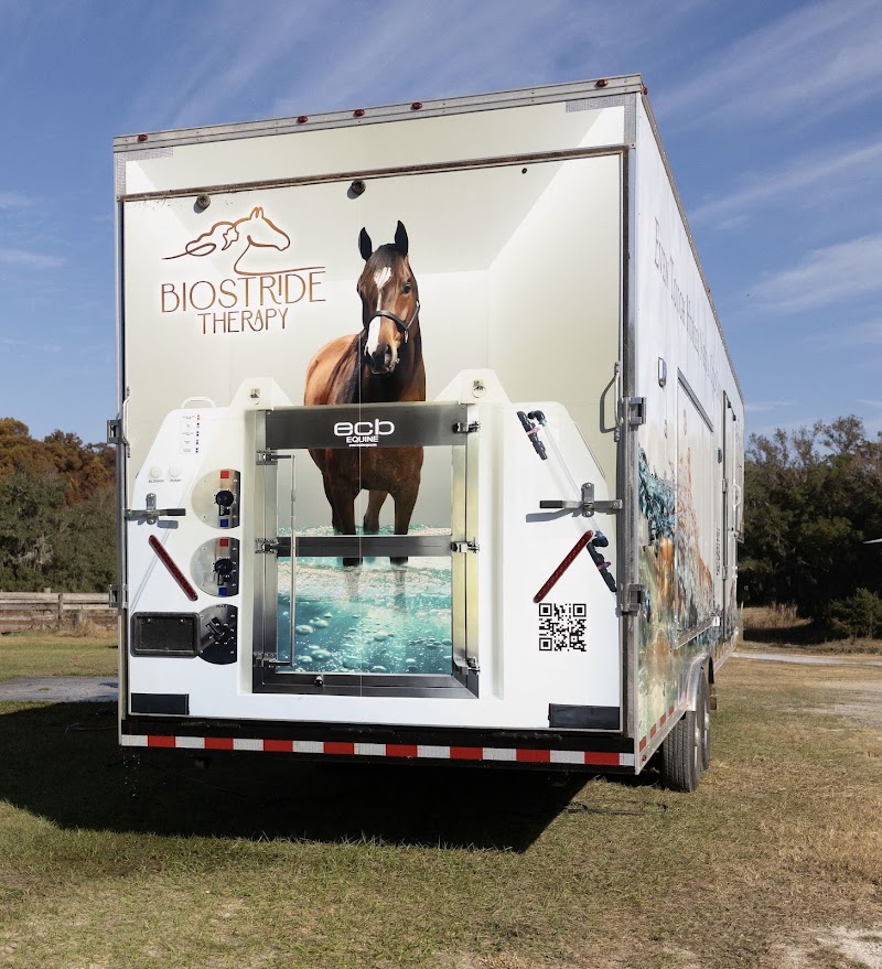 Photo of BioStride Therapy LLC