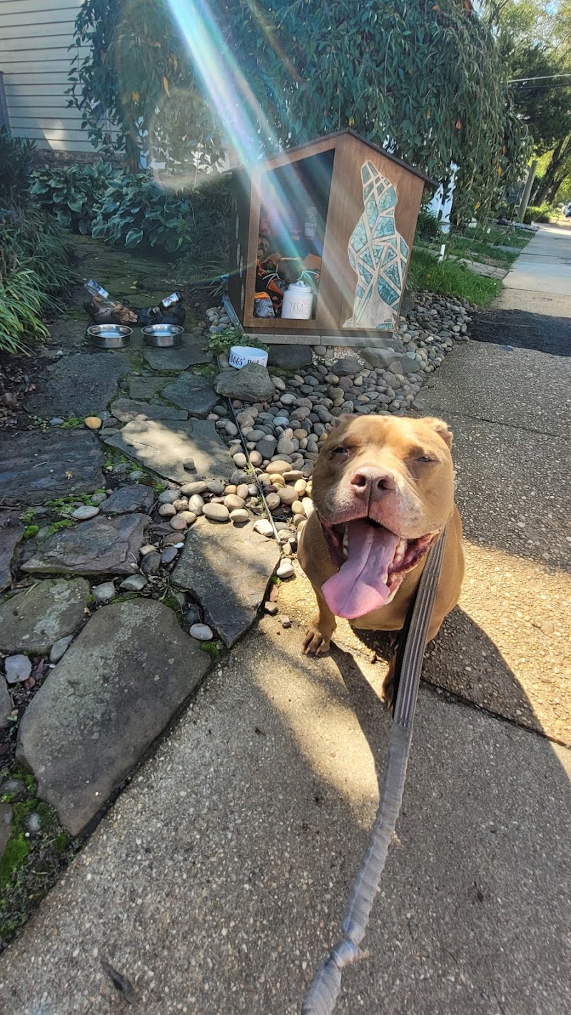 Dogs' Pub photo 2