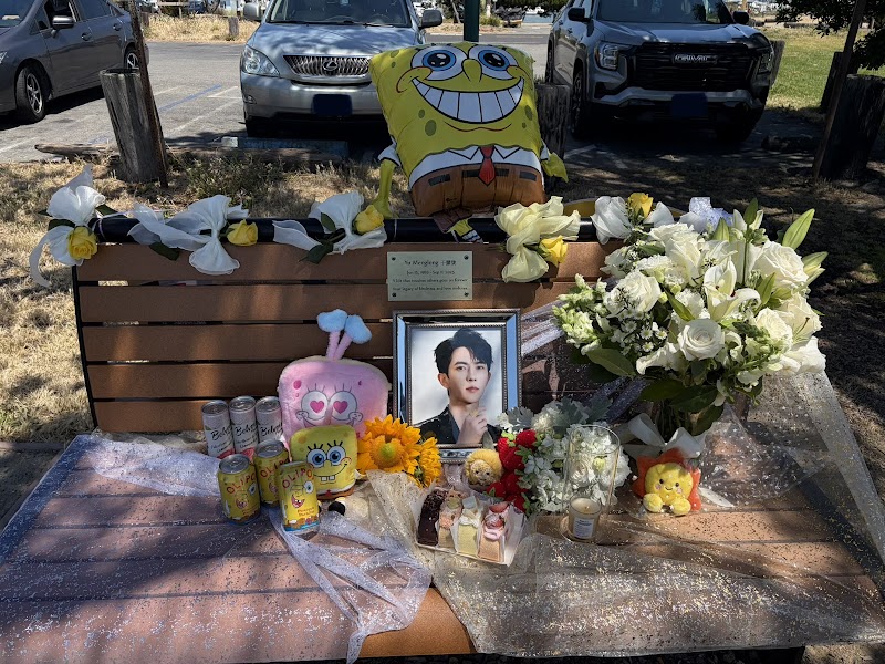 Yu Menglong 于朦胧 Memorial Bench photo 5