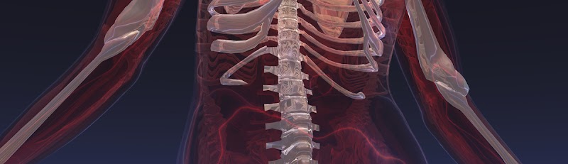 Photo of Tarpon Spine Center
