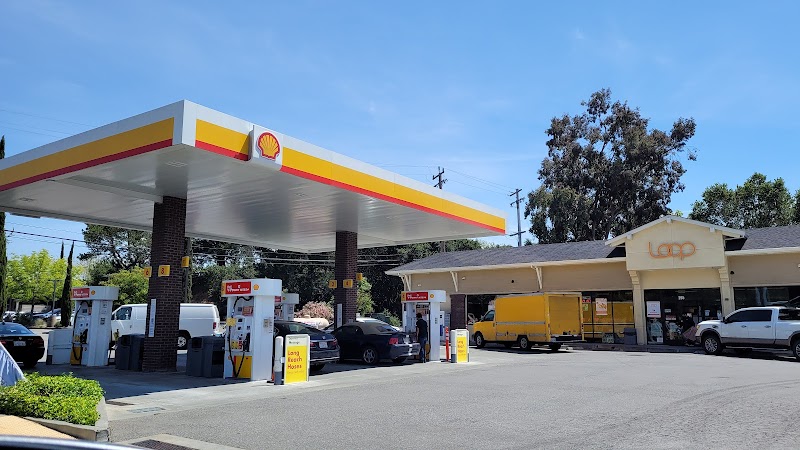 Shell photo 3