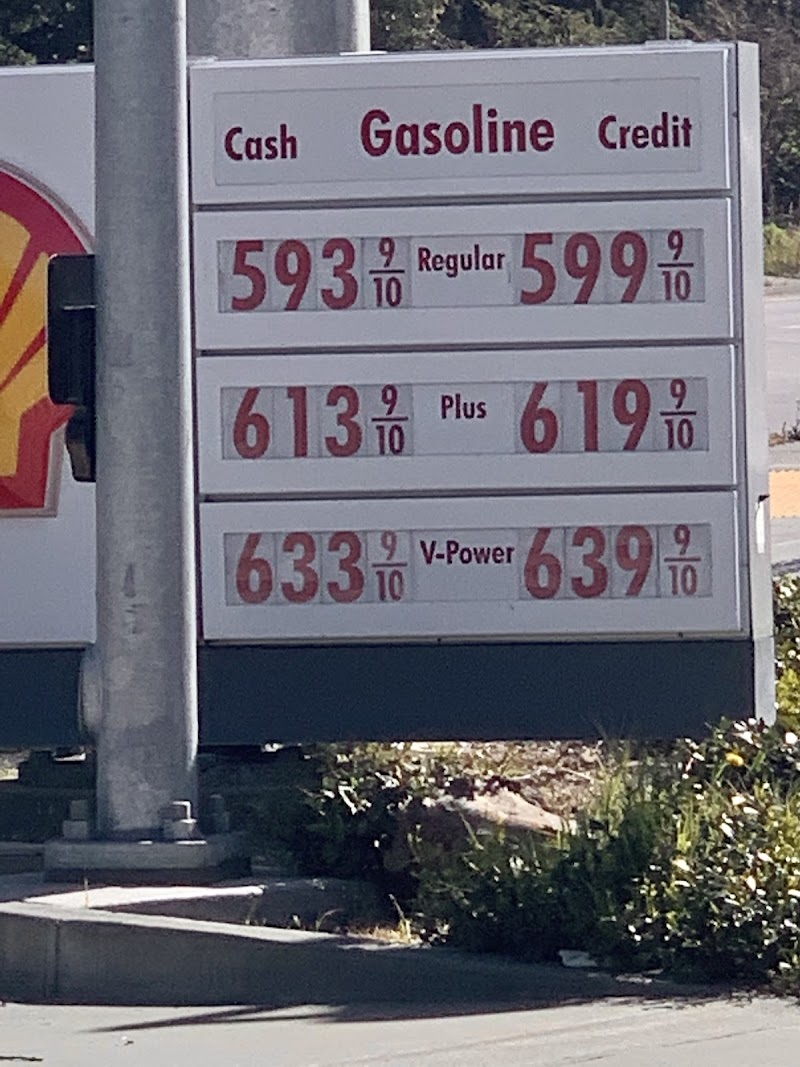 Shell photo 2