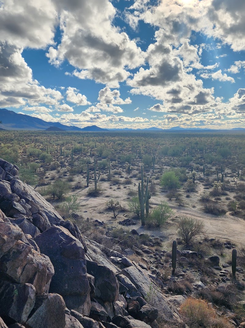 Picacho Mountains Petroglyph Sites Trail photo 2