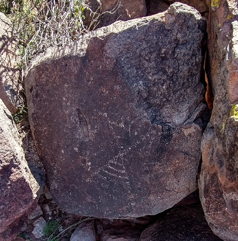 Photo of Picacho Mountains Petroglyph Sites Trail