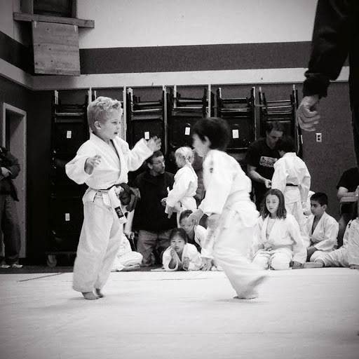 Hanabi Judo photo 2