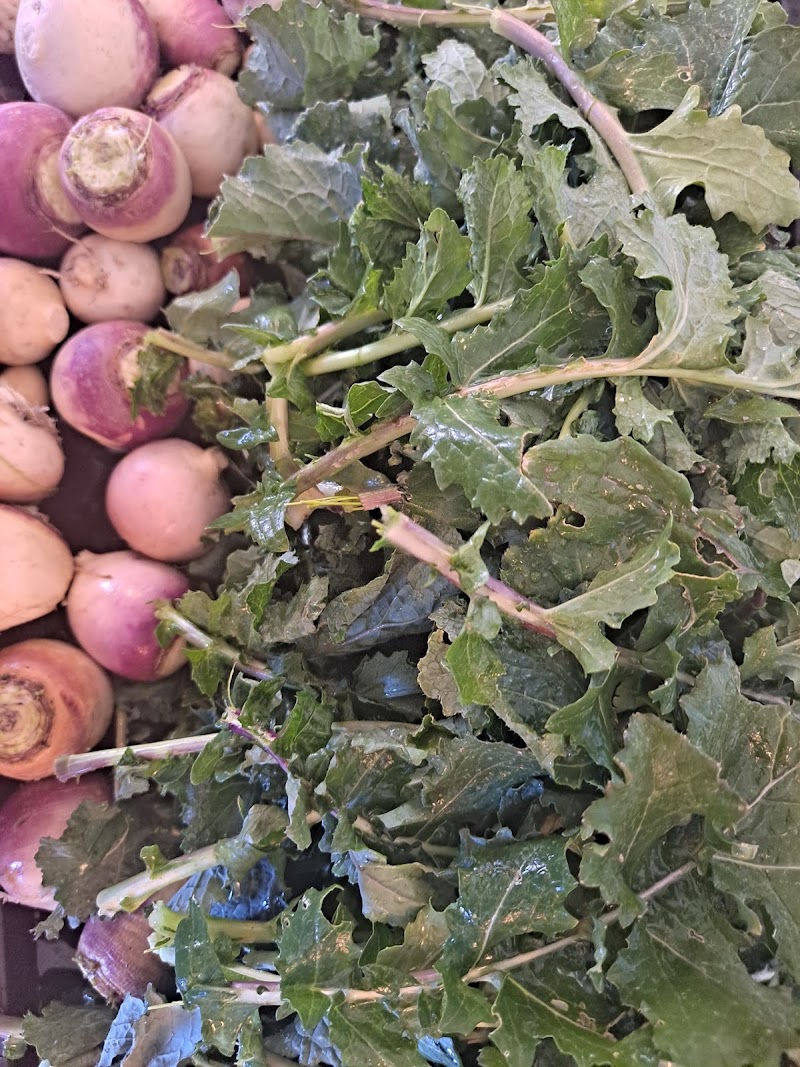 R7 Urban Farm and Health photo 4