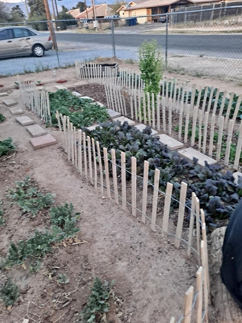 Photo of R7 Urban Farm and Health