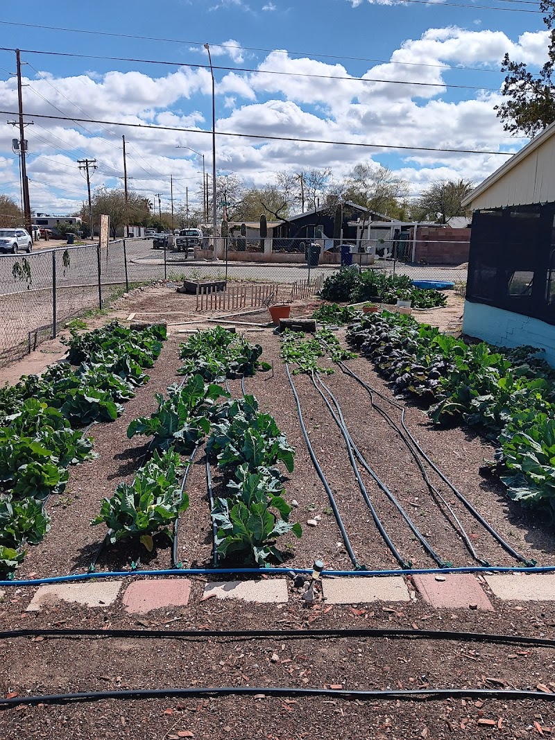 R7 Urban Farm and Health photo 2