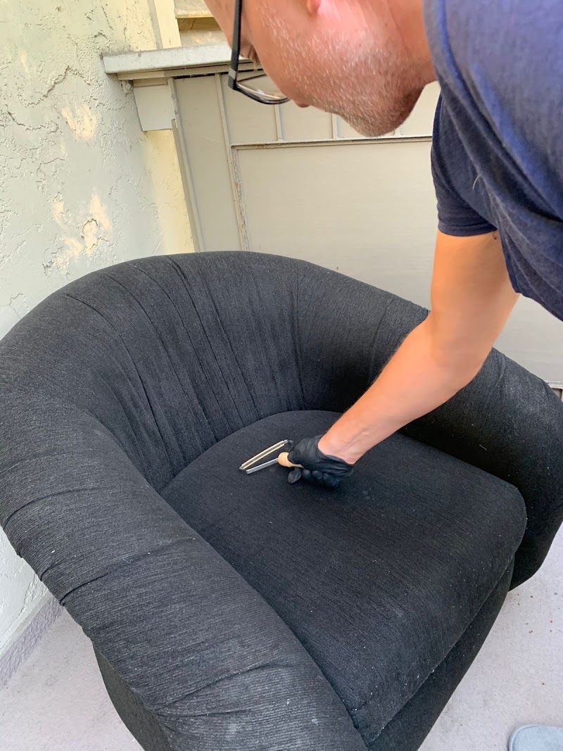 Couch Cleaning CA photo 2