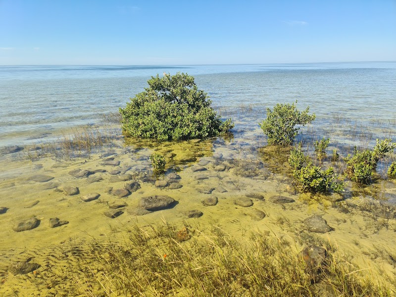 Alfred A McKethan Pine Island Park photo 4