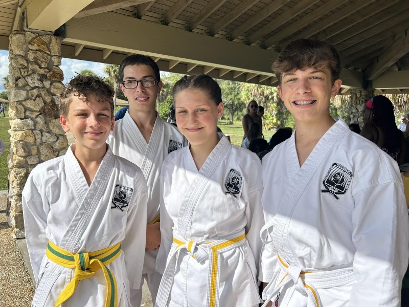 Traditional TaeKwon-Do Largo photo 4