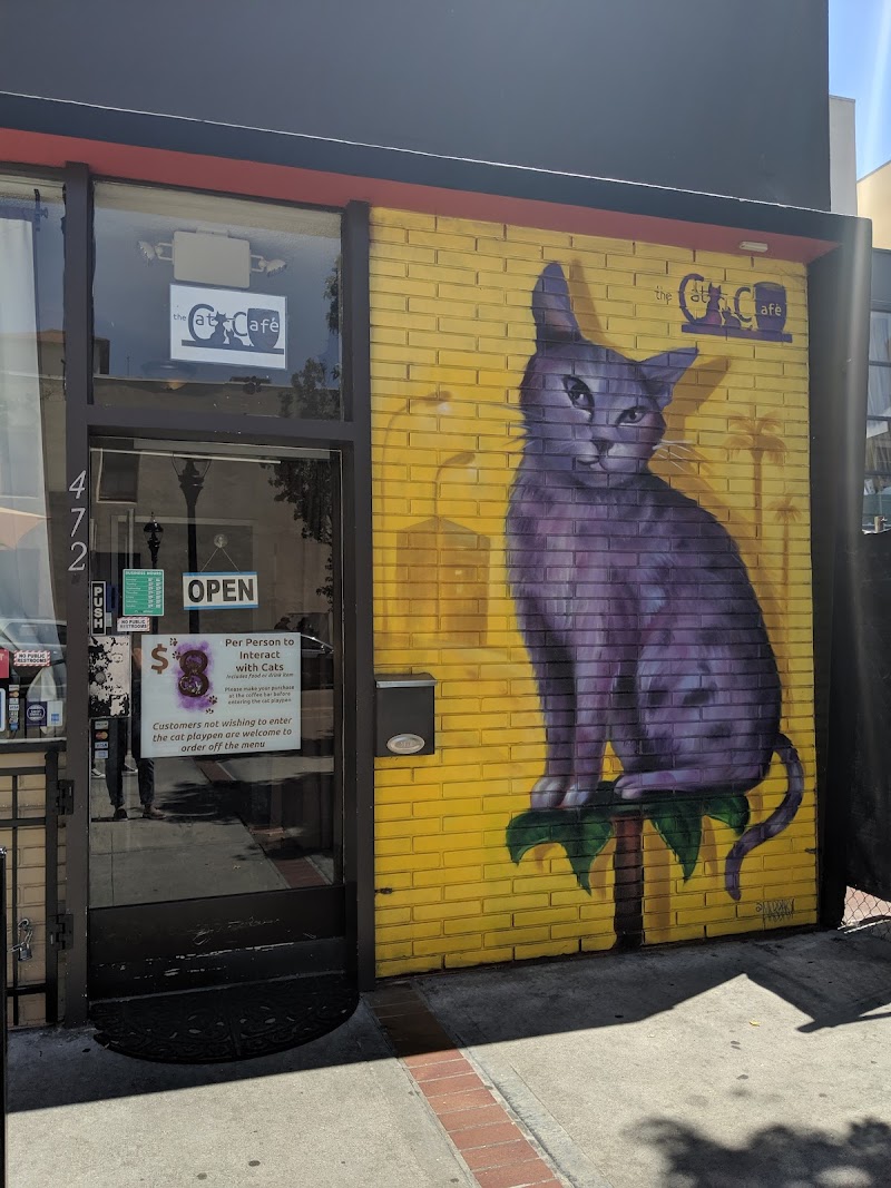 The Cat Cafe photo 4