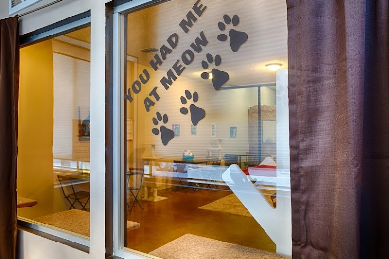 Photo of The Cat Cafe