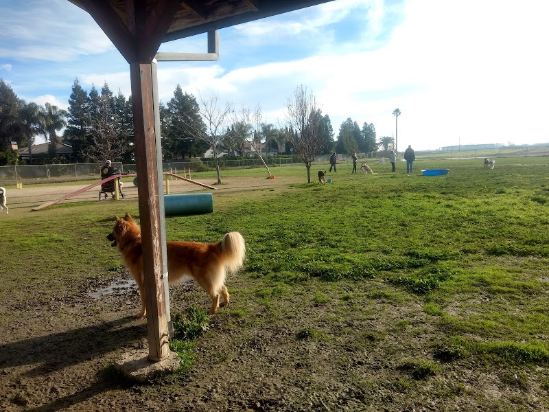 Photo of Hall Park Off Leash Dog Park
