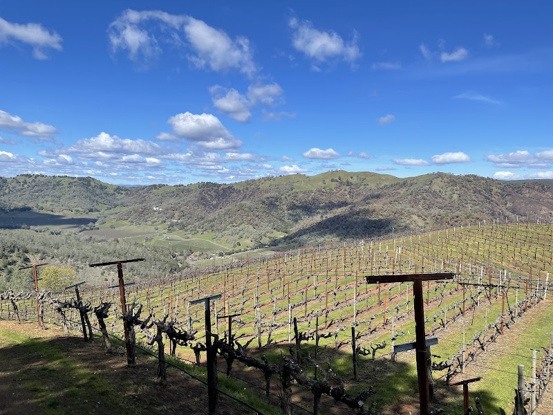 Photo of Green & Red Vineyard