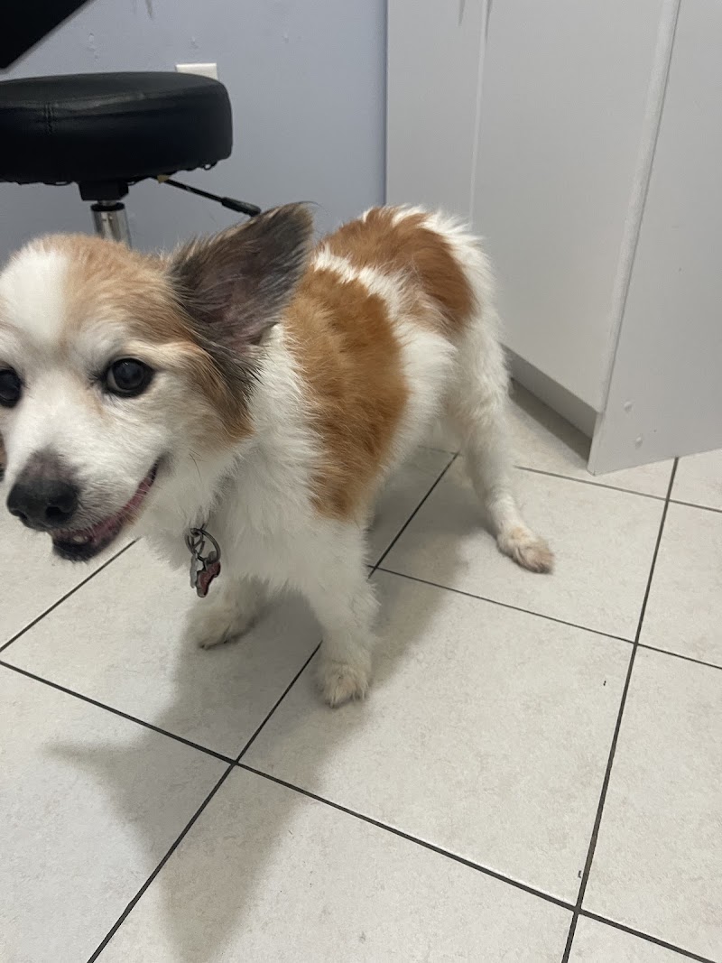 Quail Hollow Animal Hospital photo 2