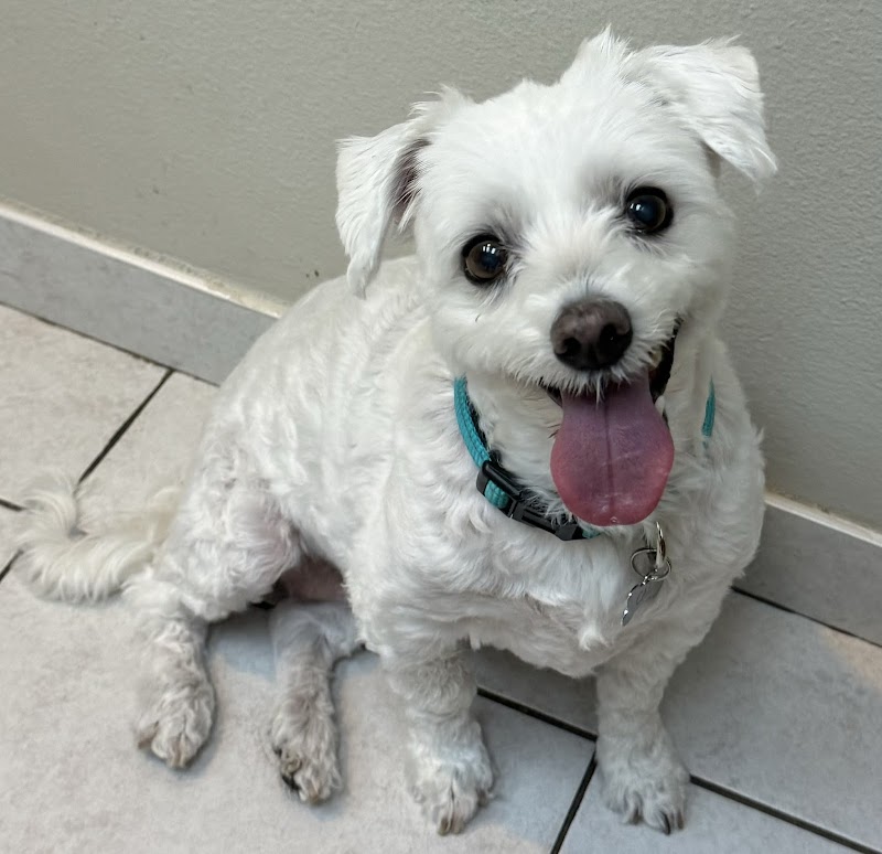 Quail Hollow Animal Hospital photo 4