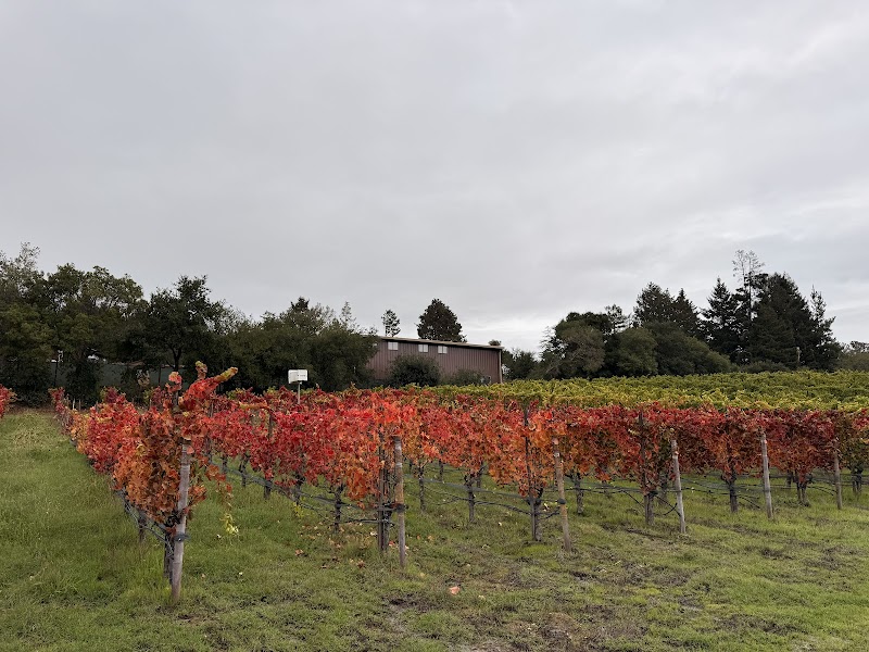 Merry Edwards Winery photo 3