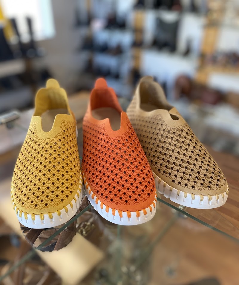 Rainsong Shoes Healdsburg photo 5