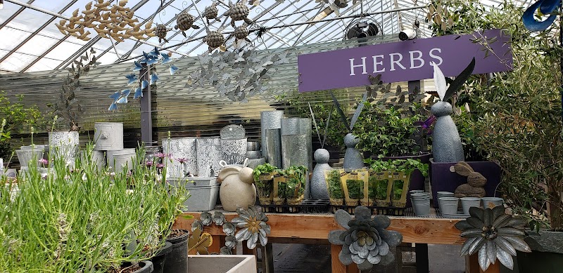 Photo of Half Moon Bay Lavender