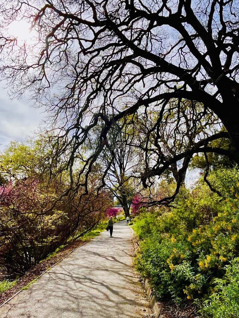UC Davis Arboretum and Public Garden photo 2