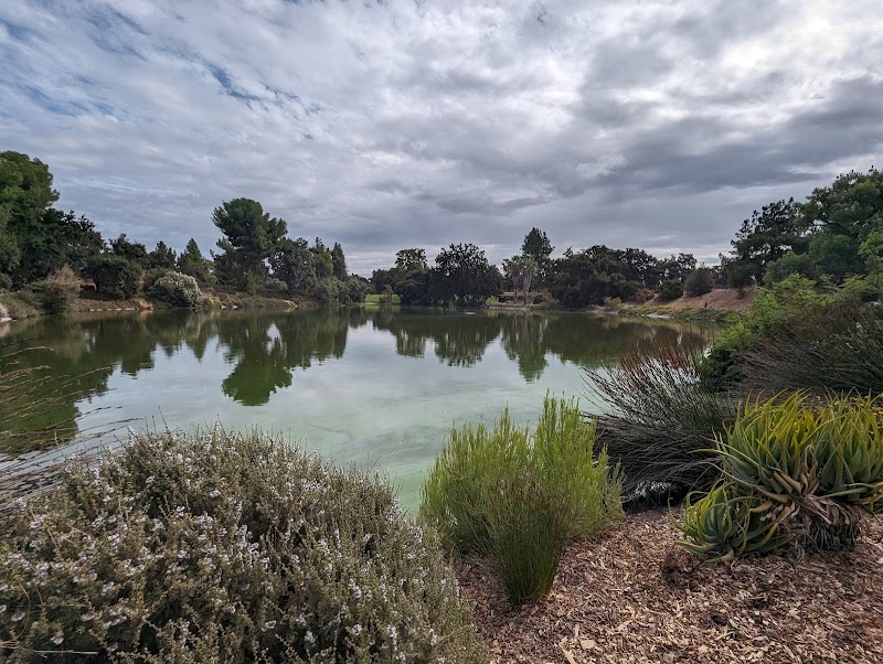UC Davis Arboretum and Public Garden photo 4