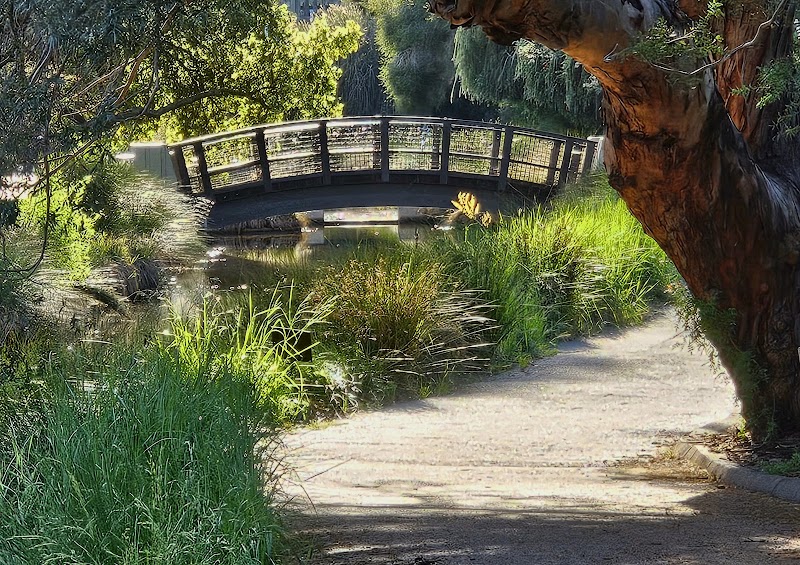 UC Davis Arboretum and Public Garden photo 3