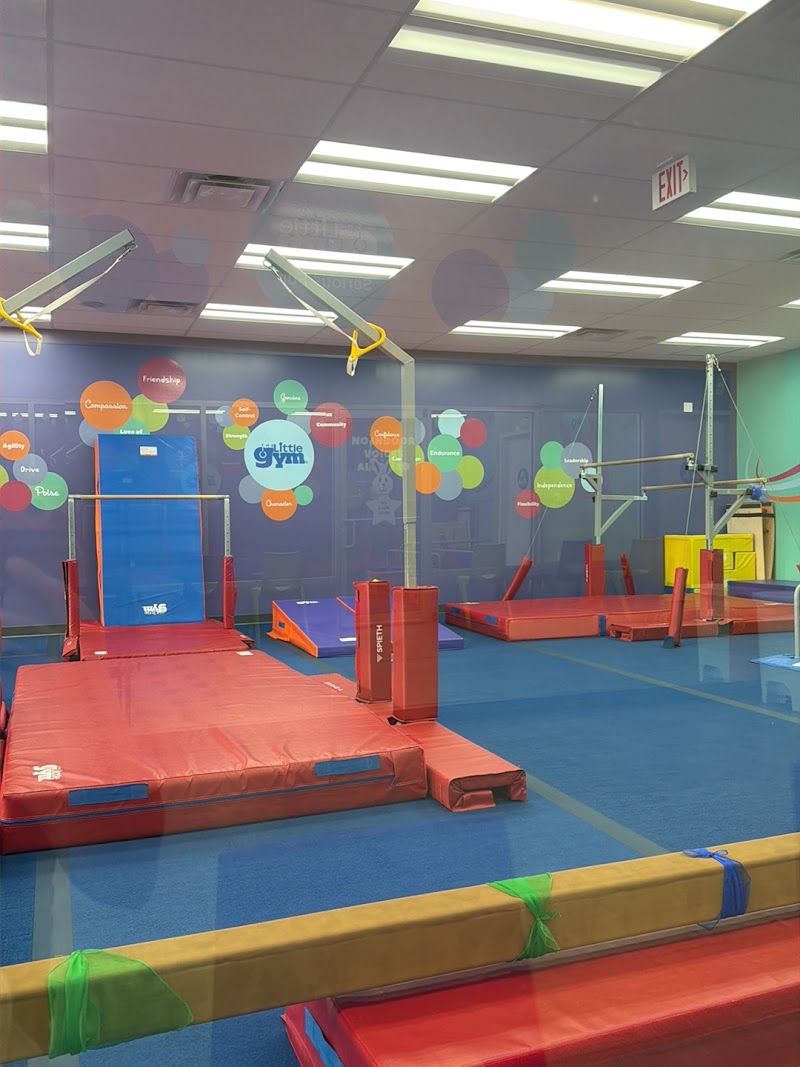 The Little Gym Palm Harbor photo 2