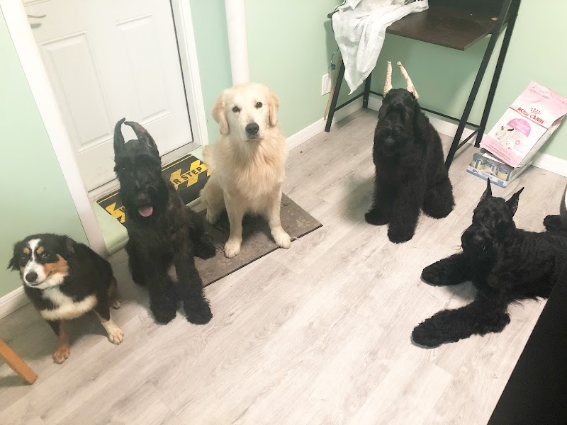 Photo of ABCK9s Pet Services