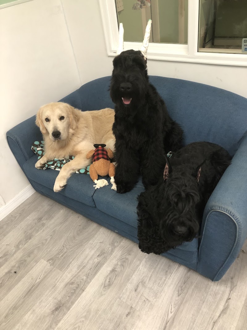 ABCK9s Pet Services photo 4