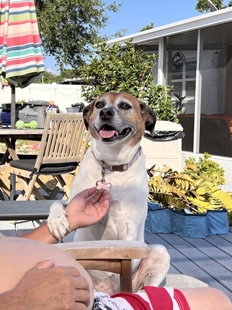 Photo of Emily's Dog House