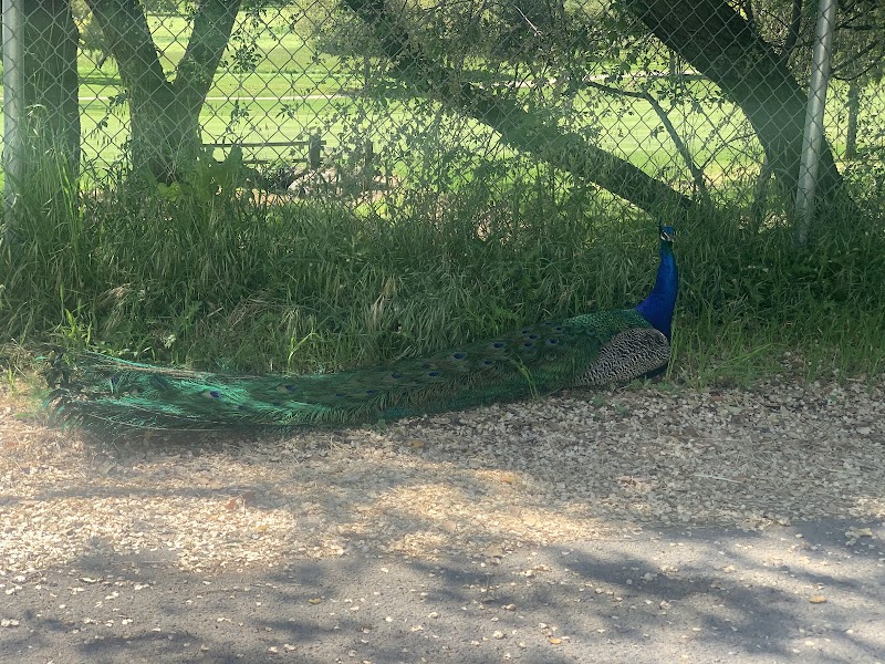 A&J Ranch photo 3