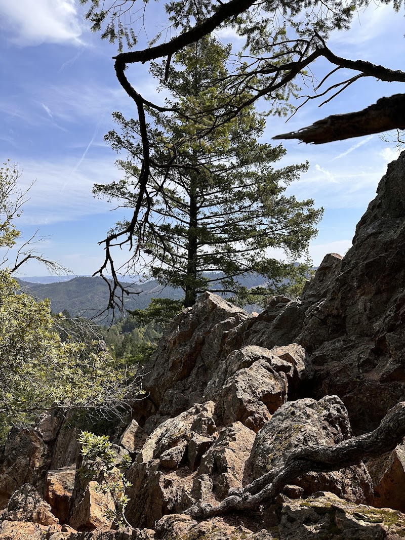 Mt. St. Helena Trailhead photo 2