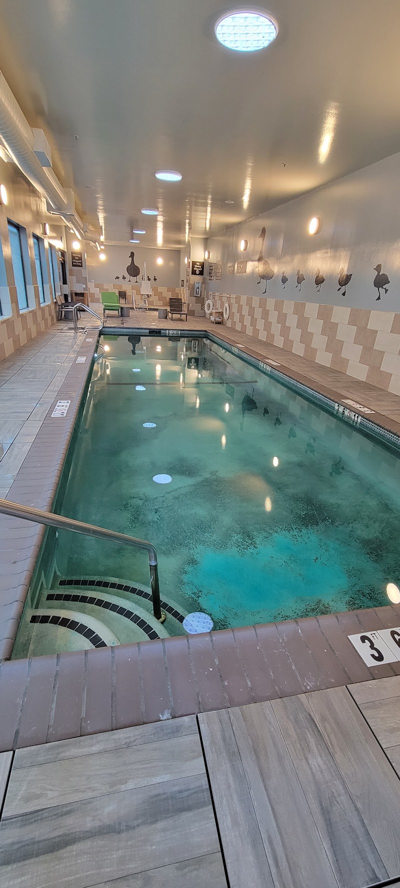 Homewood Suites by Hilton Belmont photo 3