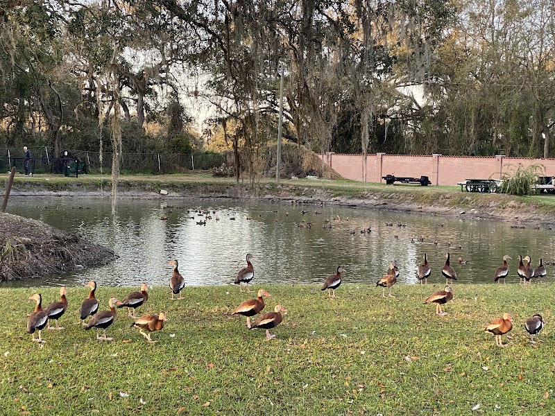 Webster RV Resort photo 4