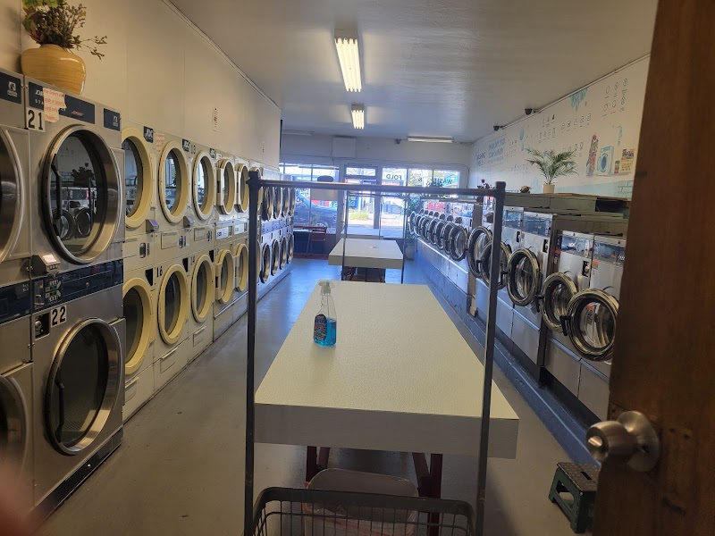 Albany Washing Well photo 2