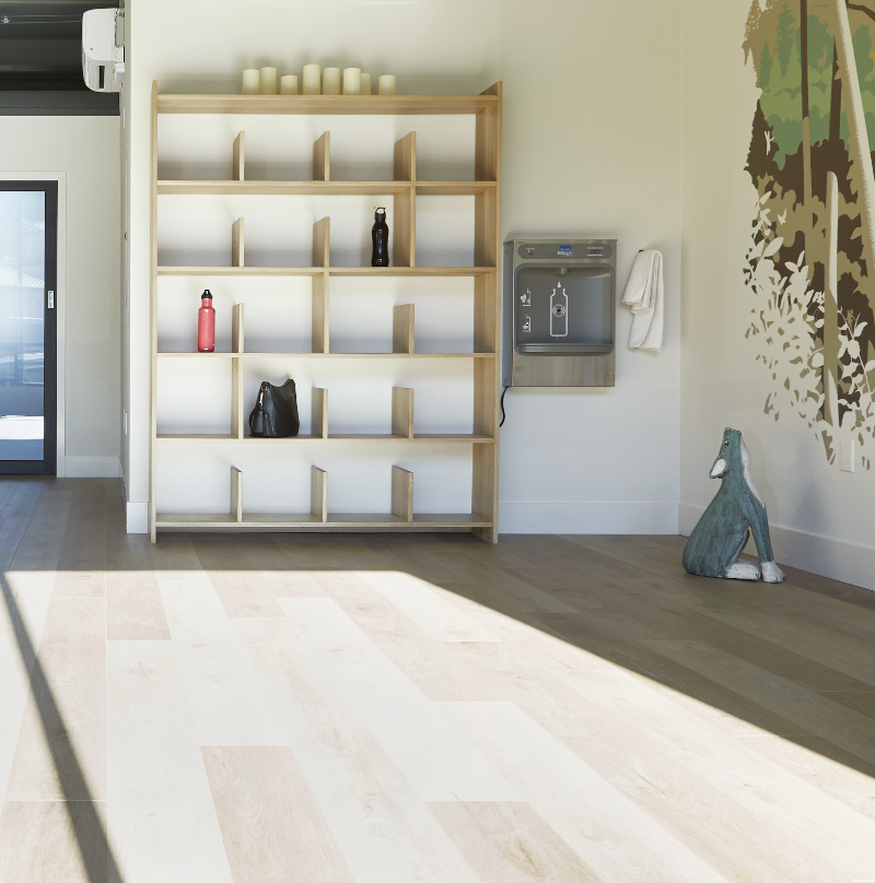 Radiate Studio photo 4