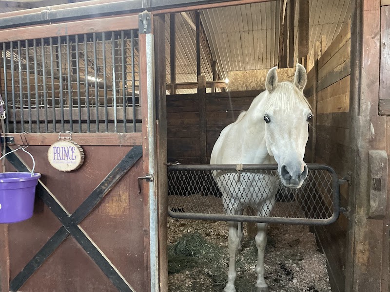 Photo of Mt View Stables