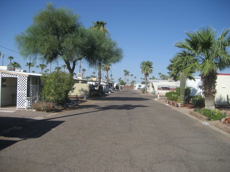 Desert Sky photo 5